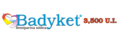 Badyket logo3500UI